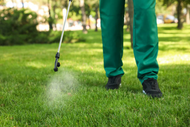 Reliable Rockwell, AR Pest Control Solutions