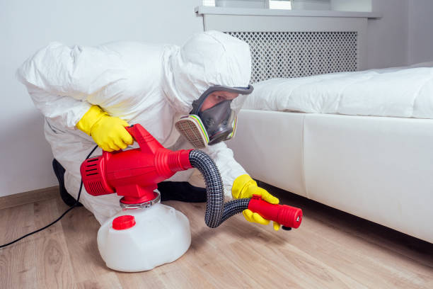 Best Commercial Pest Control Services  in Rockwell, AR