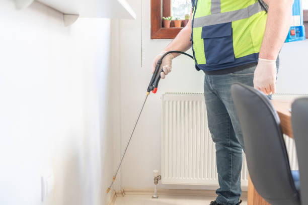 Best Bed Bug Extermination  in Rockwell, AR