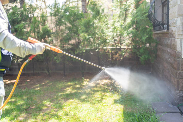 Best Exterminator Services  in Rockwell, AR