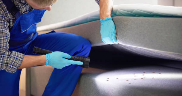 Best Pest Control Near Me  in Rockwell, AR