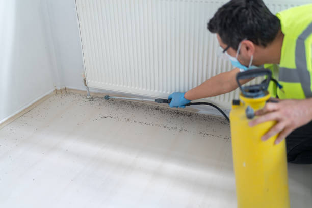Best Emergency Pest Control  in Rockwell, AR